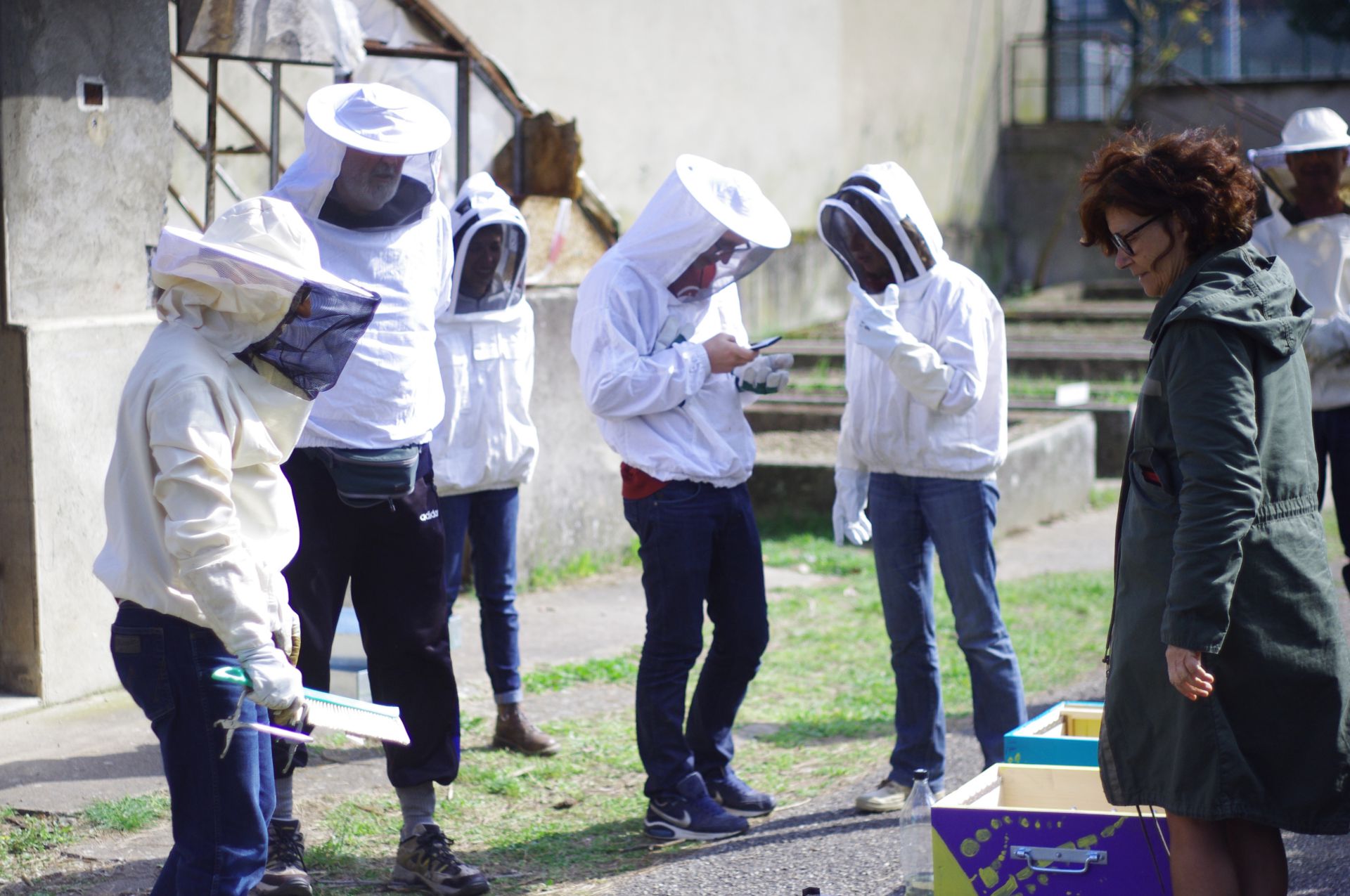 Apparitions sur le site de la Ferme !?