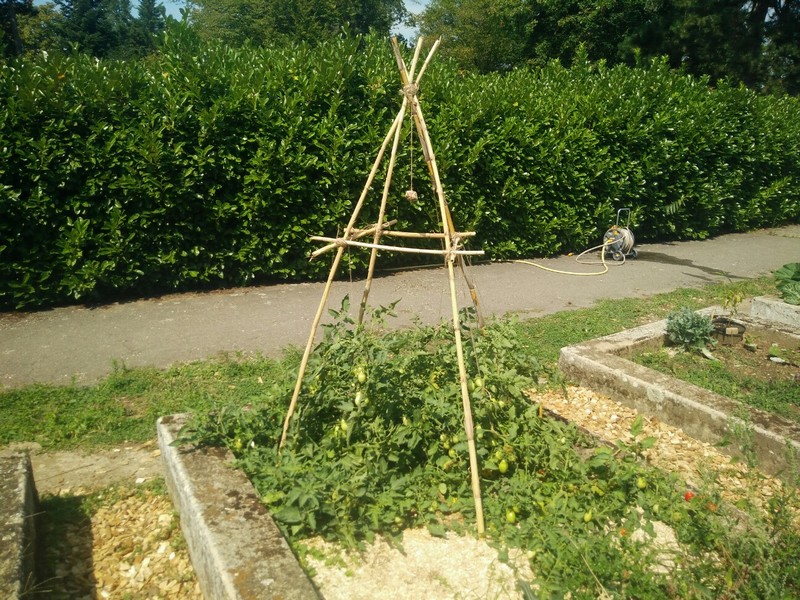 Premières formations d’initiation à la Permaculture !
