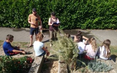 Journée à la ferme pour 28 collégien·nes  !