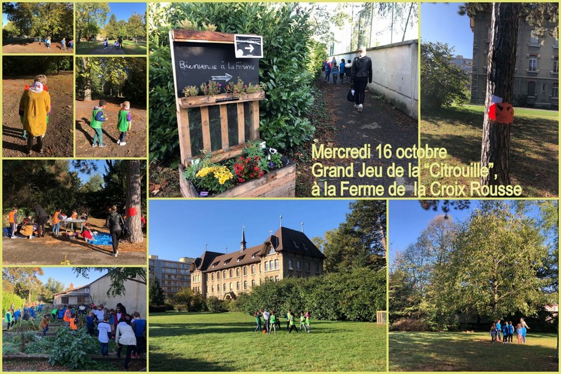 GRAND JEU de la CITROUILLE