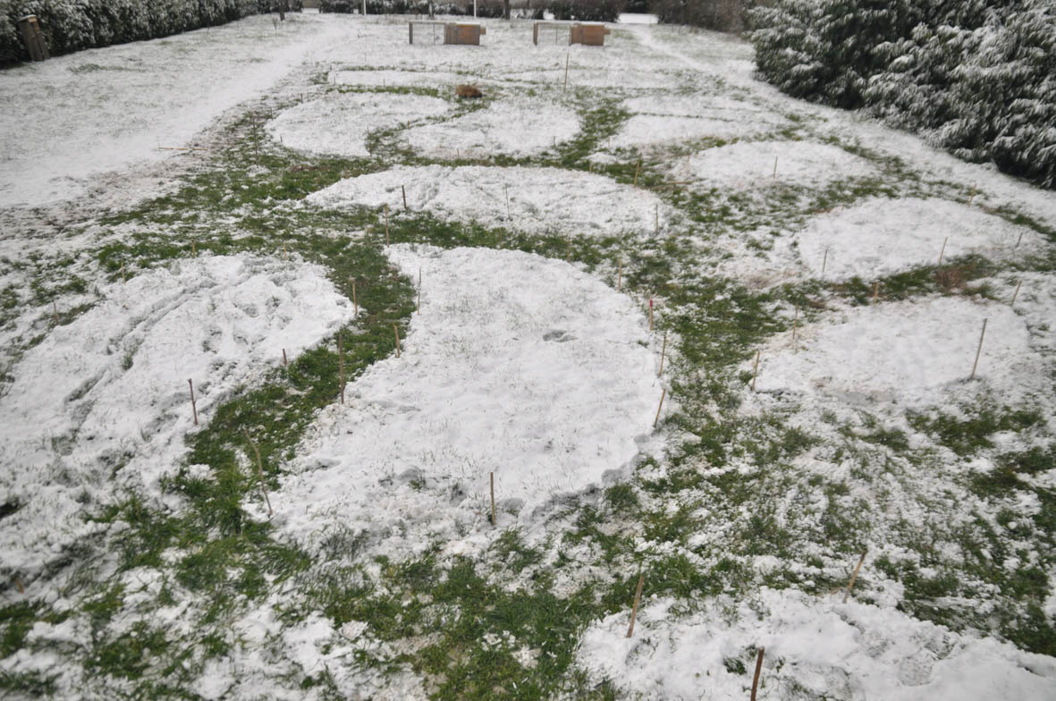 Notre équipe de permaculteurs les pieds dans la neige