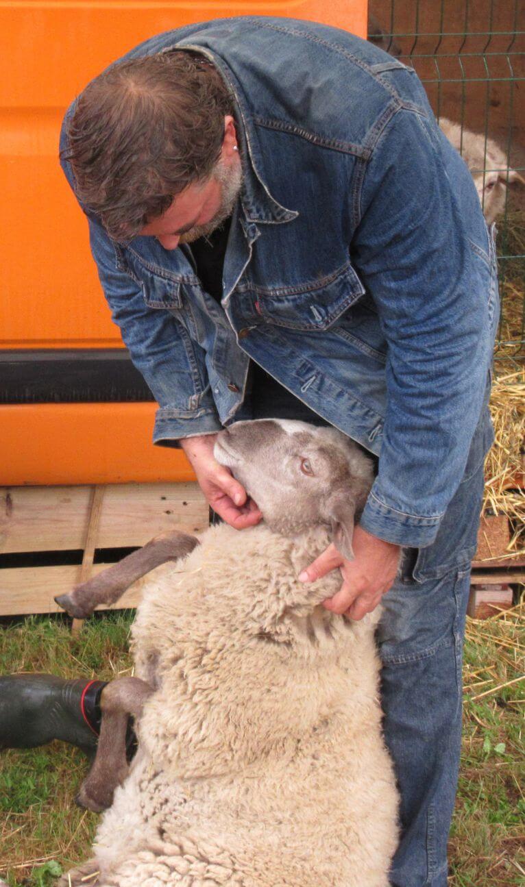 Samedi 3 juillet : les animaux s&rsquo;invitent à la ferme !
