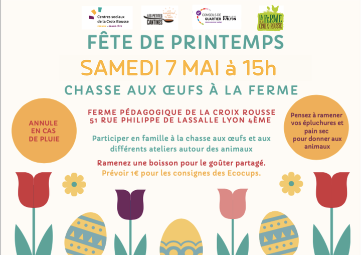 chasse aux oeufs