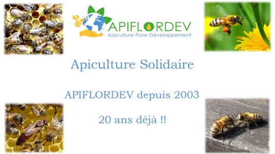 L&rsquo;apiculture outil de développement dans les pays du sud