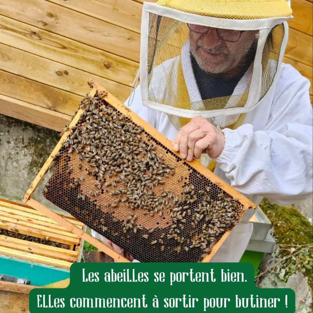 ferme croix-rousse mars 2023 abeilles