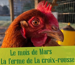 Mars en image, le printemps