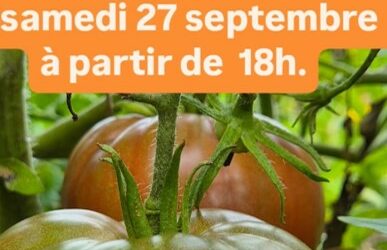 Dégustation de soupes, tartinades et crudités du jardin