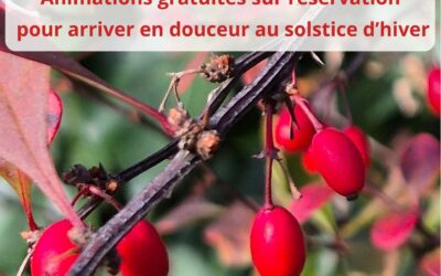 En attendant l&rsquo;hiver…
