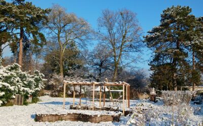 C&rsquo;est Noël…