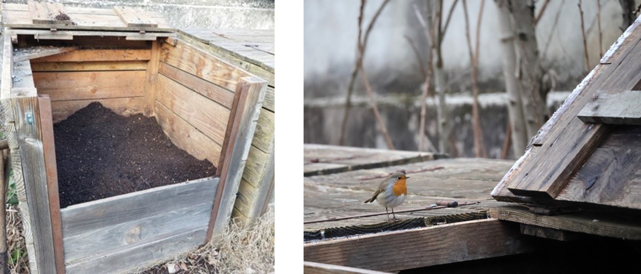 La réserve de compost mûr !