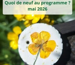 programme pour le mois de mai…